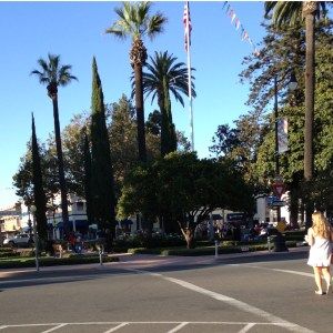 Old Towne Orange 08-2013