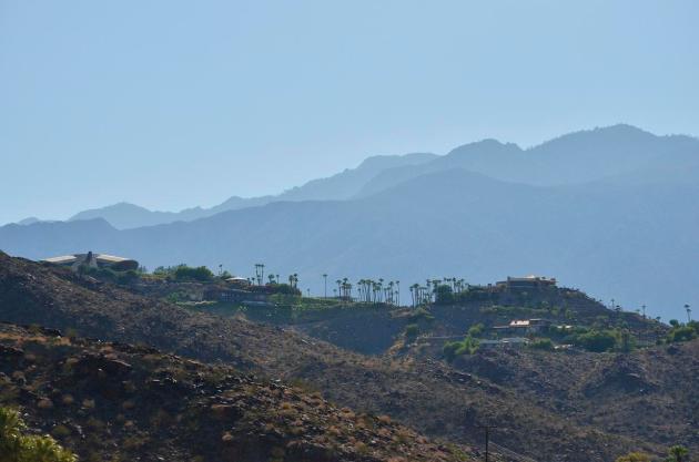 PalmSprings outdoors (7)