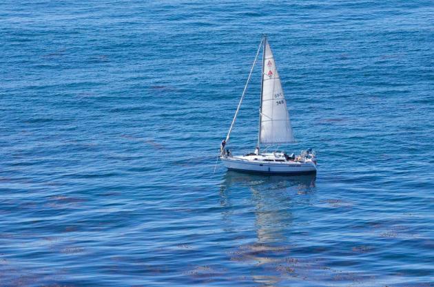 Palos Verdes Peninsula (16)