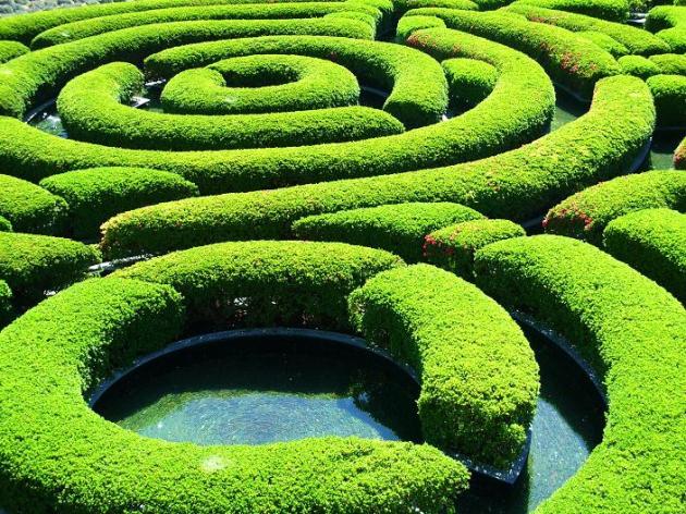 Getty maze closeup