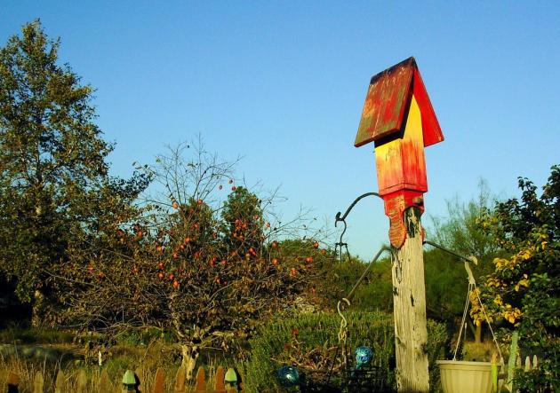 Birdhouse in the garden