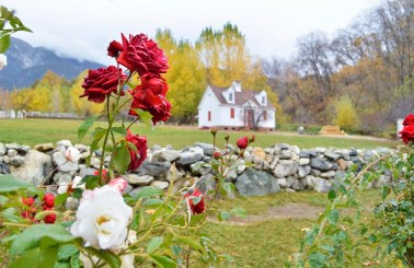 Hawk's Head in Oak Glen (3)