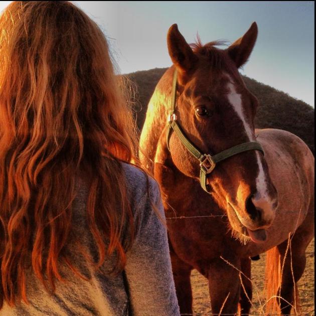 Kat and horse