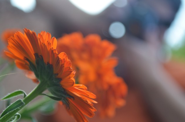 Taking Pics at Disneyland (107)