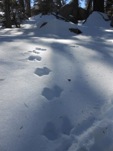 Mt. San Jacinto with Cam 017