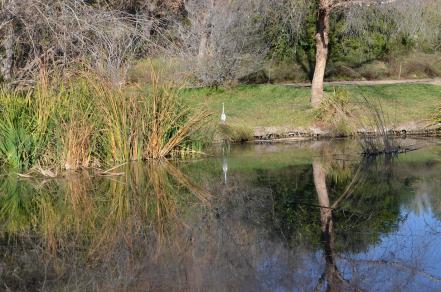 Mr Crane and I Take a Walk (1)