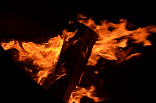 Cam's Bday in Anza Borrego 061