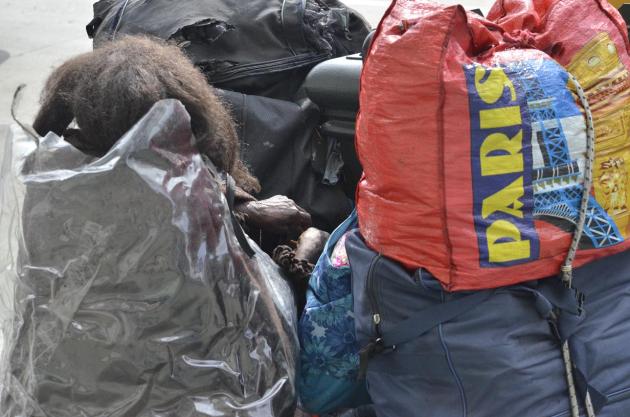 Hardly the Paris life we imagine