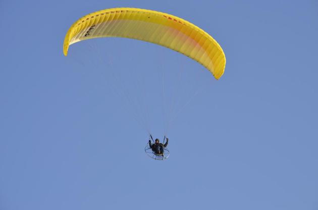 Things I Saw April 5 2014 (13)