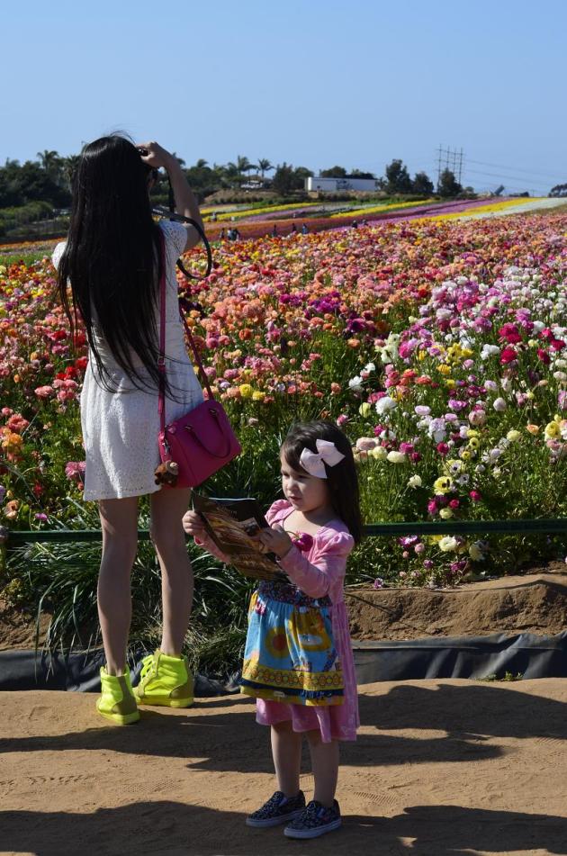 Things I Saw April 5 2014 (4)