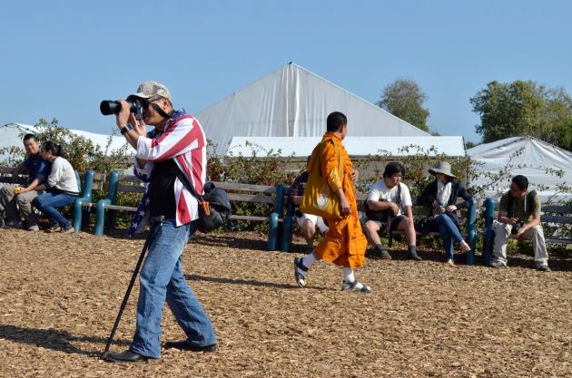 Things I Saw April 5 2014 (8)