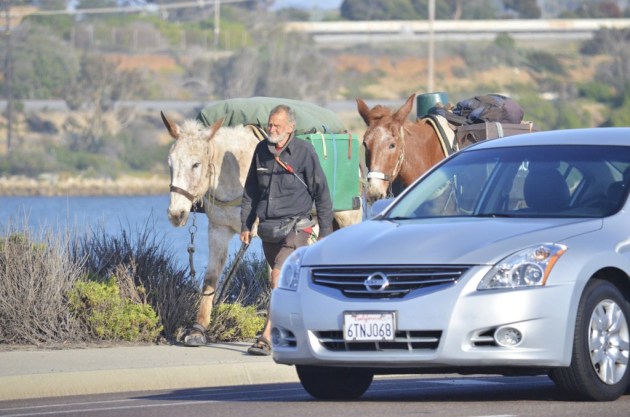 Weekly Photo Challenge, Contrasts (2)