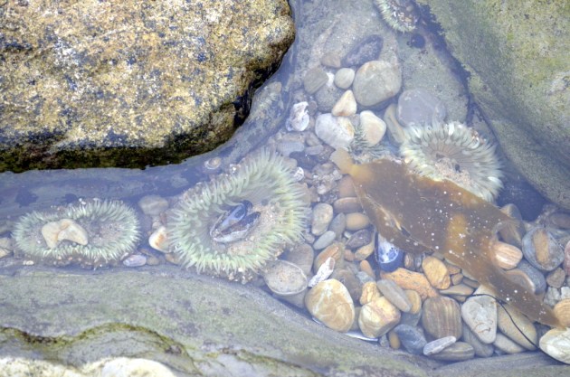 Weekly Photo Challenge, Containers