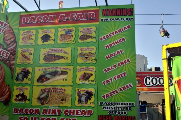 Calories at the County Fair (28)