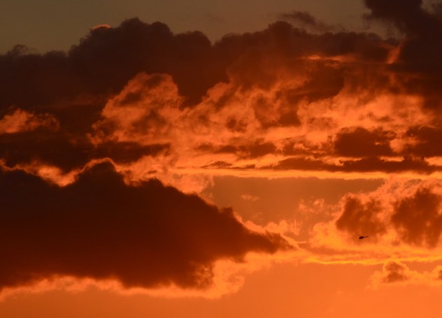 Weekly Photo Challenge, Silhouette 01