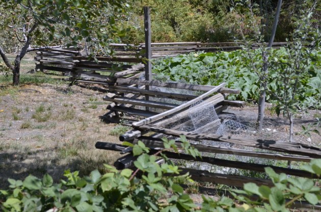 Weekly Photo Challenge, Zigzag