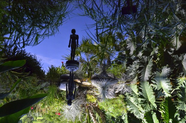 Lady in the Pond, Upside Down