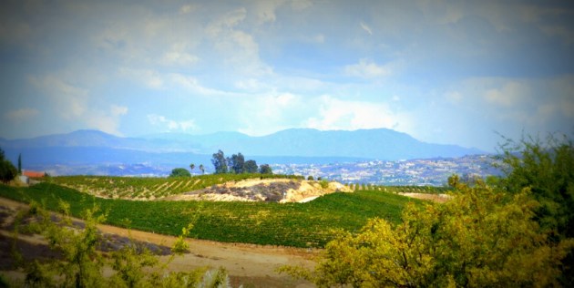 Not France, Not Italy, Temecula!