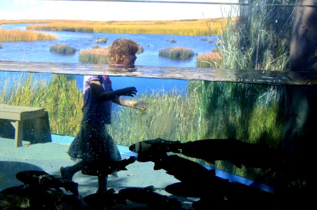 Weekly Photo Challenge, Refraction