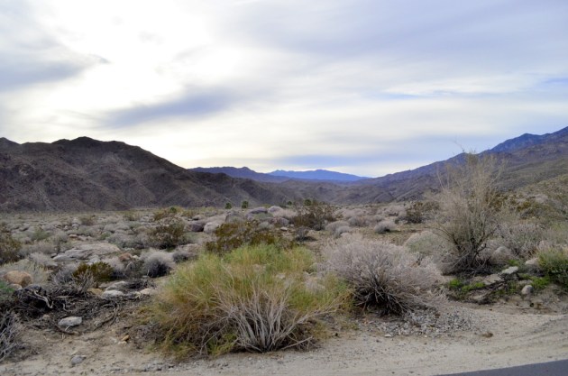 Hiking Andreas Canyon, part 1 of 2 (1)