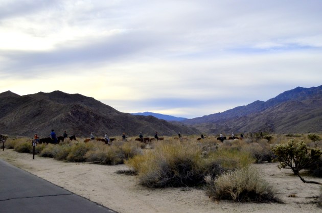 Hiking Andreas Canyon, part 1 of 2 (2)