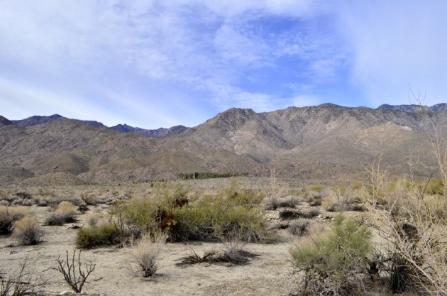 Hiking Andreas Canyon, part 1 of 2 (3)