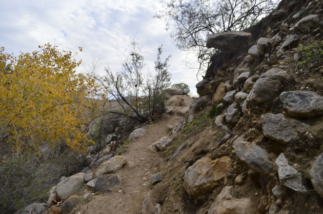 Hiking Andreas Canyon, Part 2 of 2 (1)