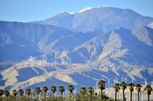 Snow Up Top, Palms Down Below