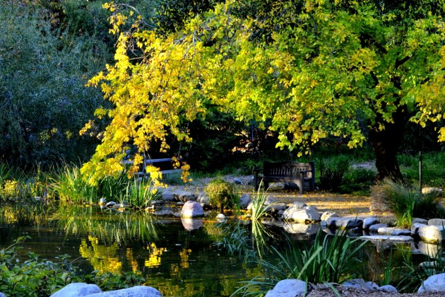 Weekly Photo Challenge, Serenity