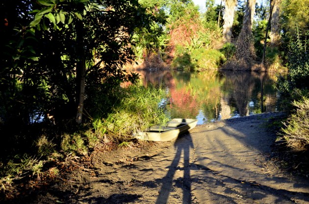 Shadow Selfie