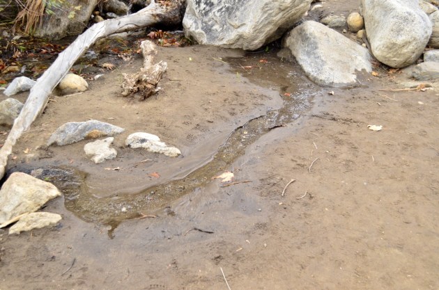 Weekly Photo Challenge, Ephemeral