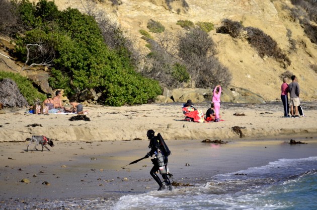 Creature from the Black Lagoon