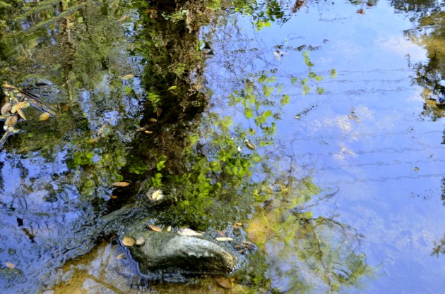 Oak Canyon Pond Reflection