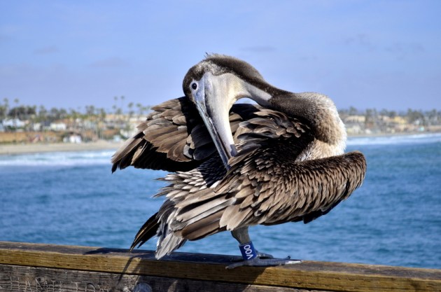 Weekly Photo Challenge, Enveloped, 2