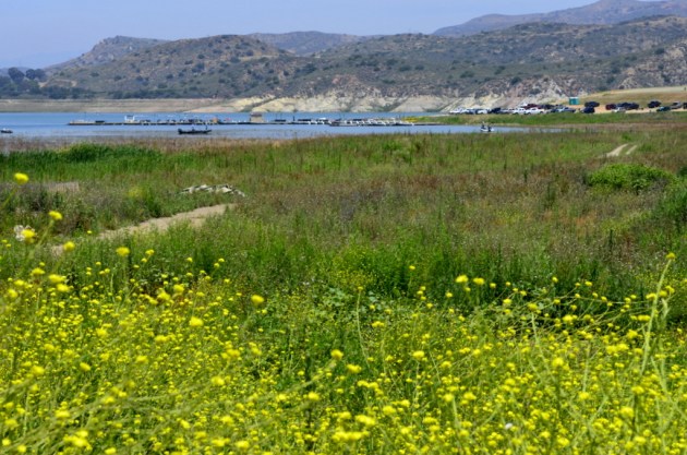 Visual of Southern California's Drought