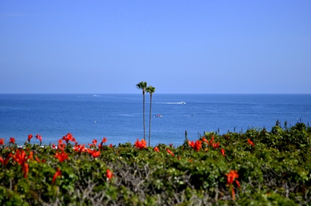 Weekly Photo Challenge, Vivid