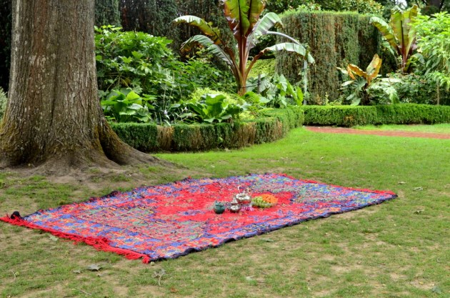 Rose Garden Carpet