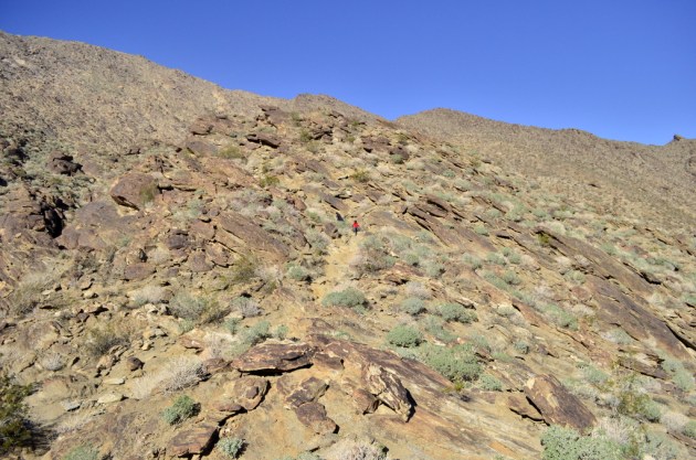 Weekly Photo Challenge, Optimistic 2