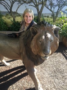 It's All Happening at the Zoo (20)