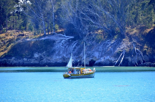 Sailboat at San Simeon