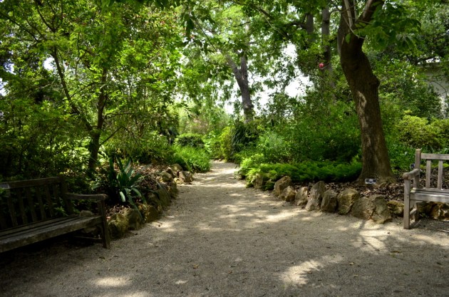 Pathway to Serenity