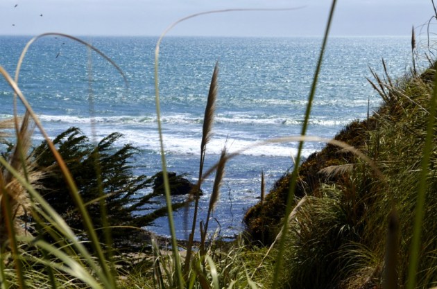 Seaside Near Santa Cruz
