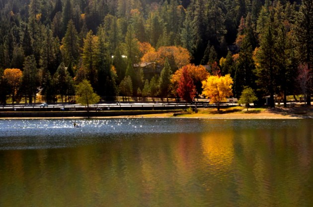 kayaker-gliding-along