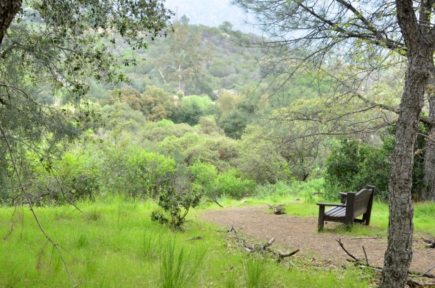 nice-bench-for-pondering