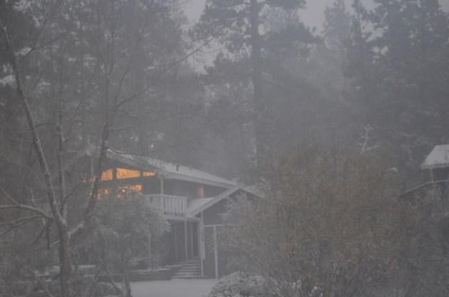 weekly-photo-challenge-its-not-this-time-of-year-without