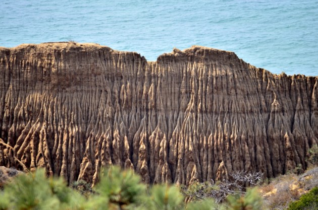 wrinkly-rock
