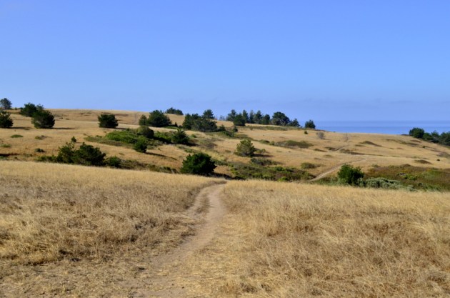 weekly-photo-challenge-path