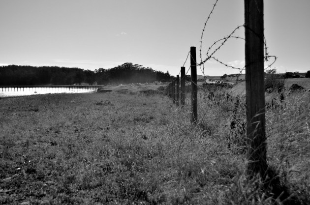 fence-line