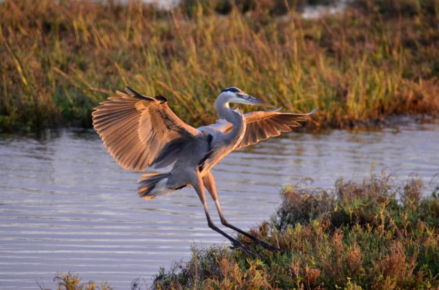 weekly-photo-challenge-against-the-odds