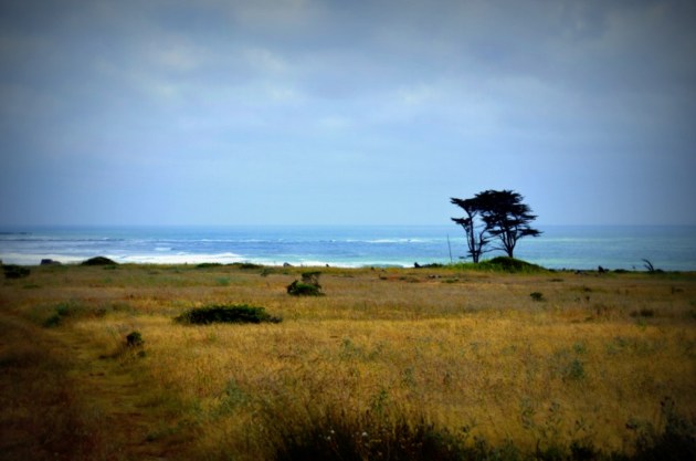 weekly-photo-challenge-solitude-2